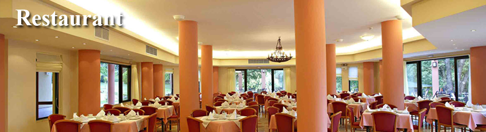 Shelter Construction Company